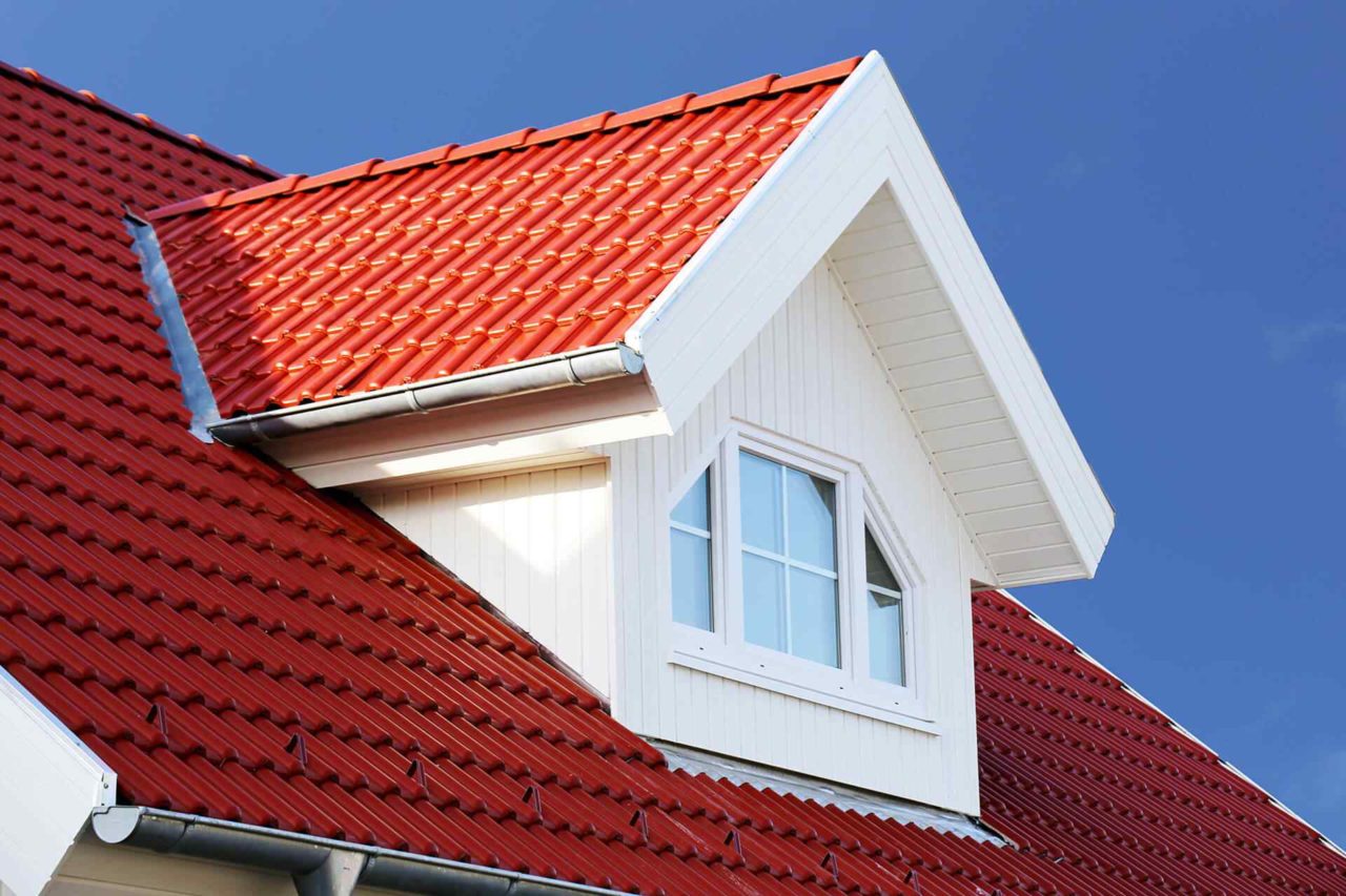 Roof Painting