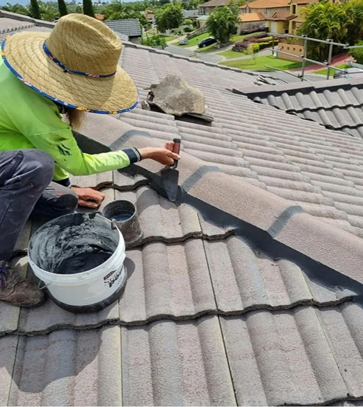 Roof Painting & Sealing