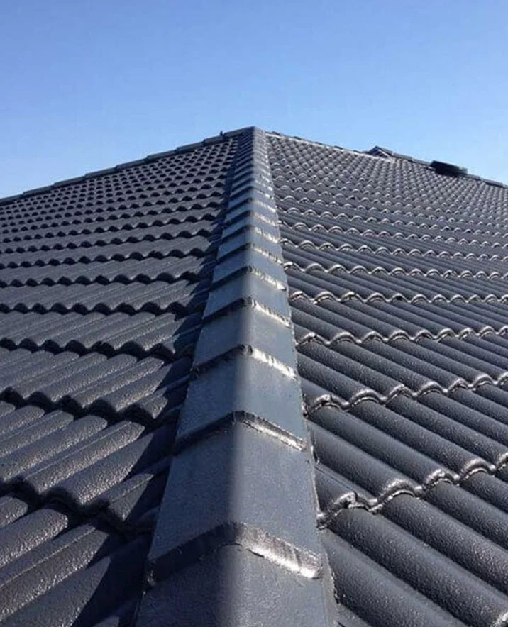Roof Restoration