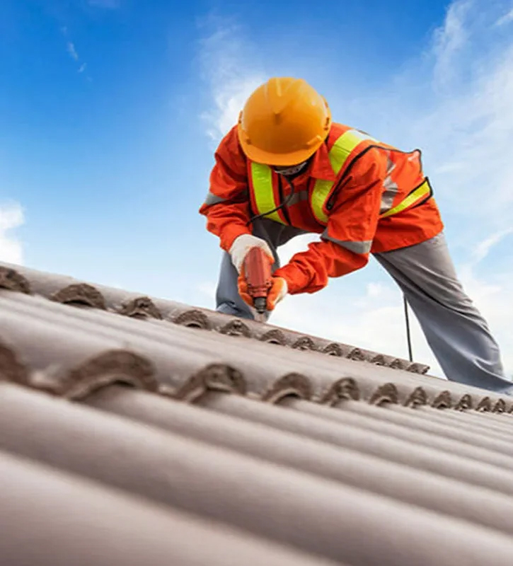 Roof Cleaning
