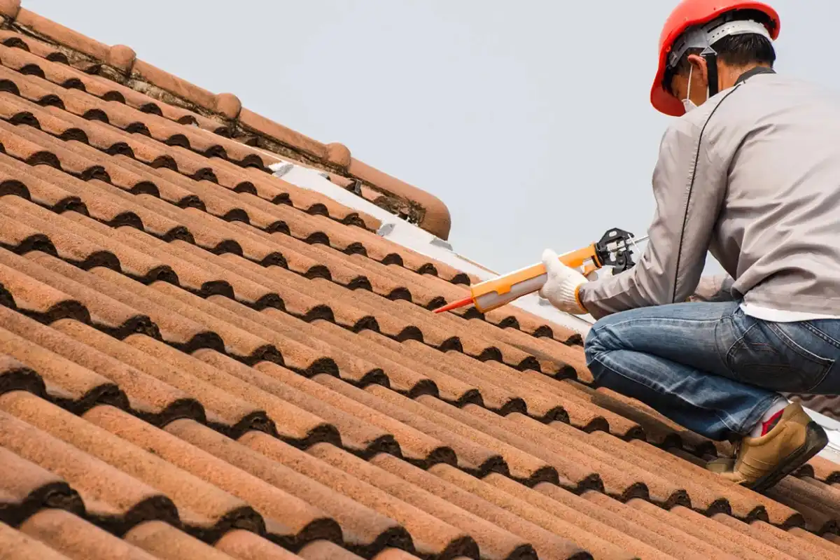 Roof Maintenance Services