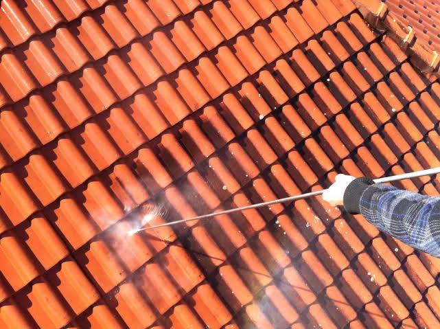 Roof cleaning