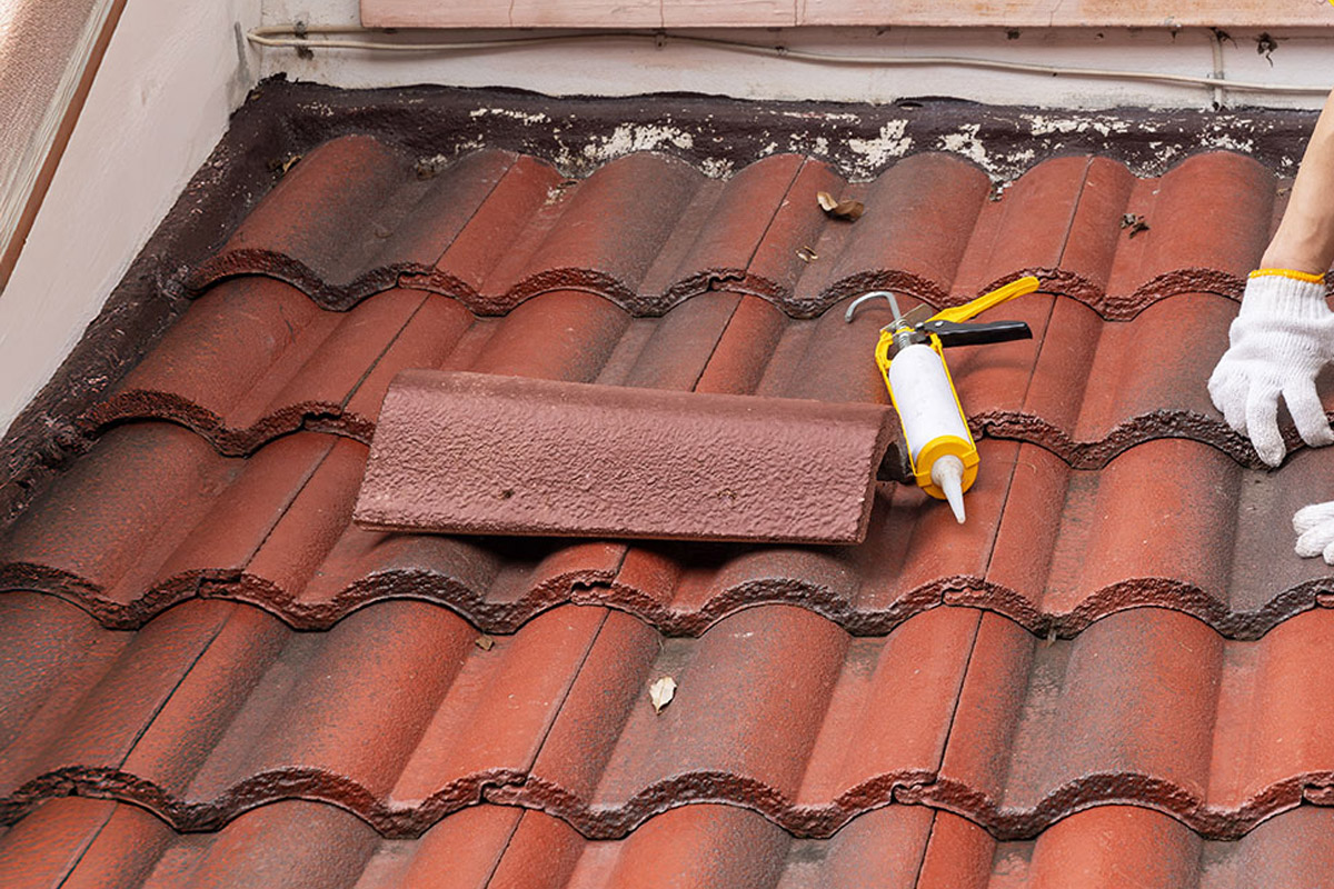 Roof Leak