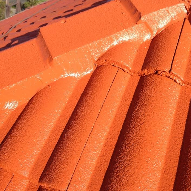 Roof Painting