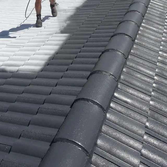 Tile Roof Cleaning