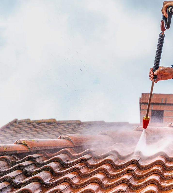 Roof Cleaning