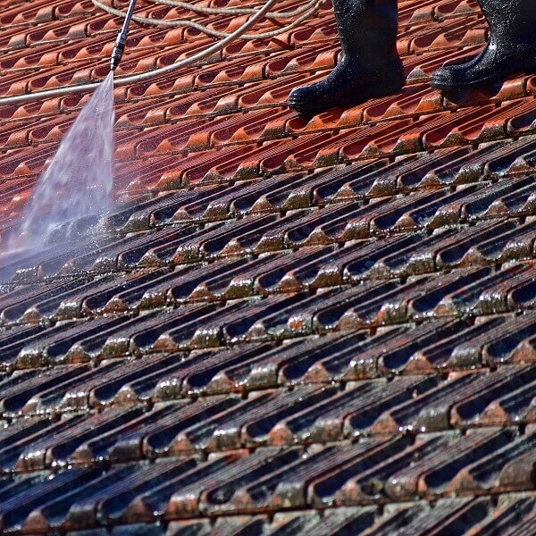 Roof cleaning