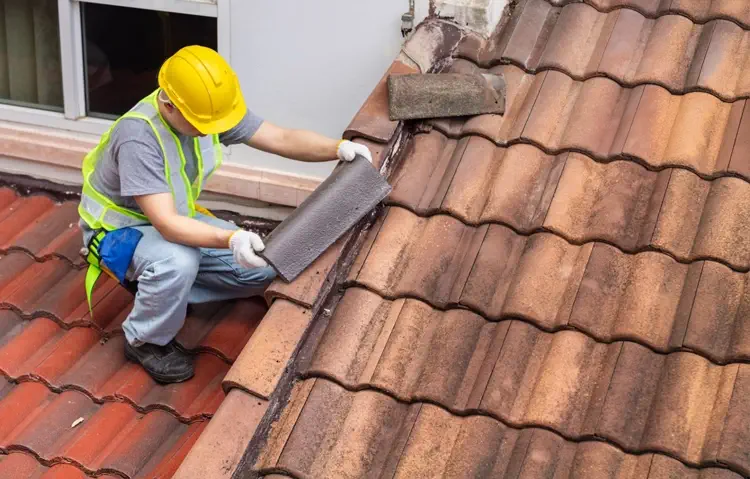 Roof Ridge Repointing