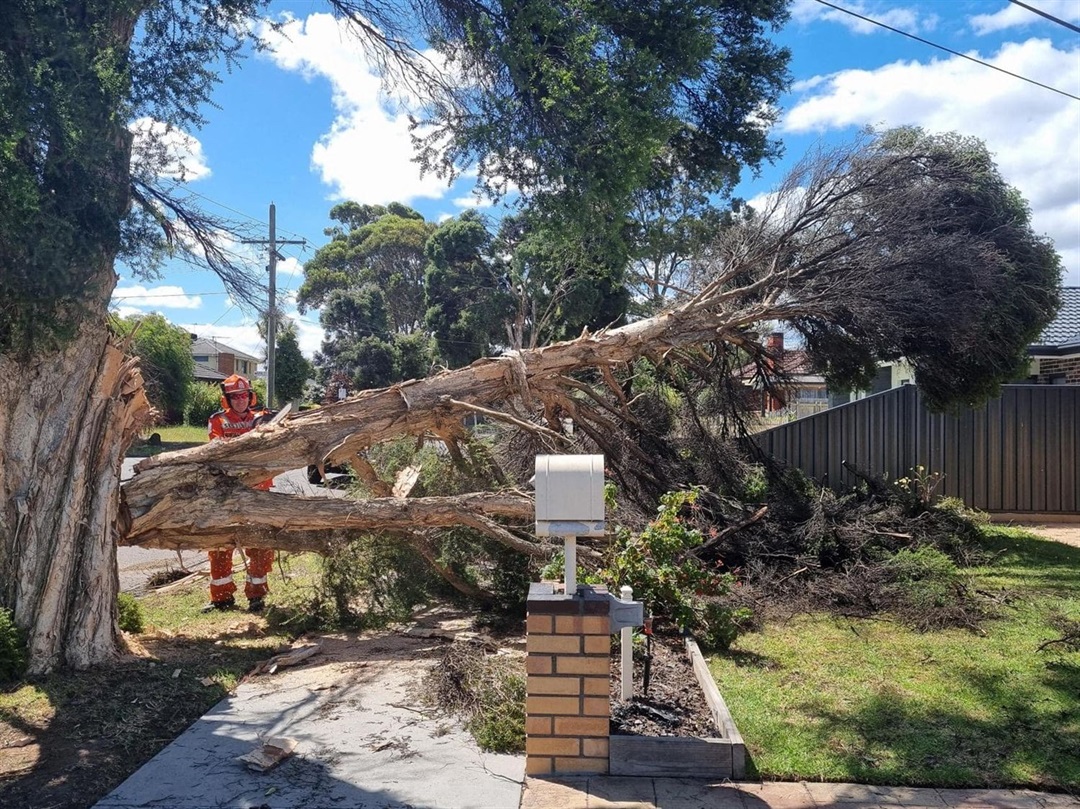 Emergency Storm Damage Repair